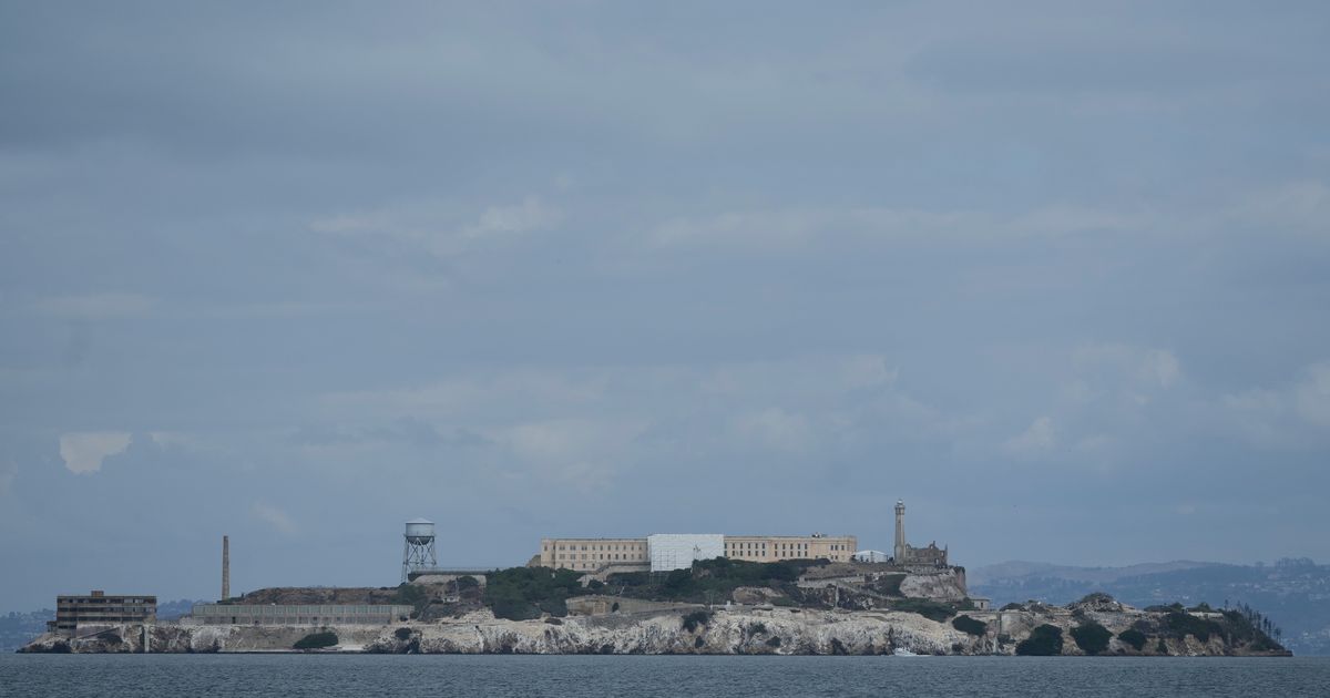 Male coyote swam 2 miles to Alcatraz Island, twice as far as biologists had expected