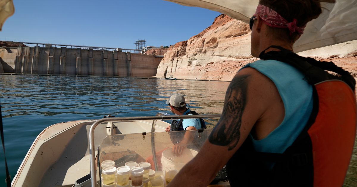 Releasing cool water protects fish in the Grand Canyon. That comes at cost to hydropower