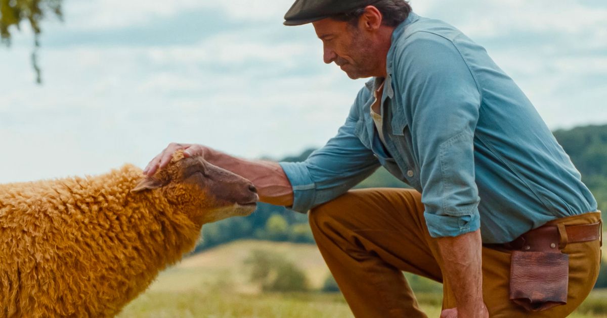 ‘The Sheep Detectives’ is the starry, family-friendly whodunnit you didn’t know you needed