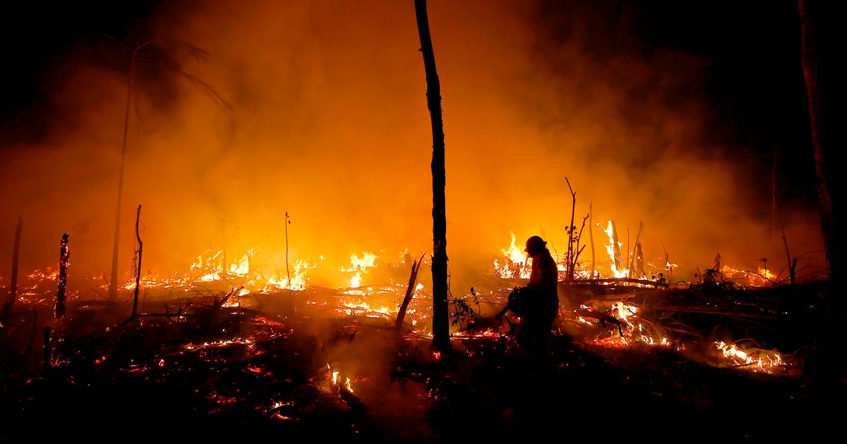 Despite gains combating deforestation in Brazil’s Amazon, forest ...