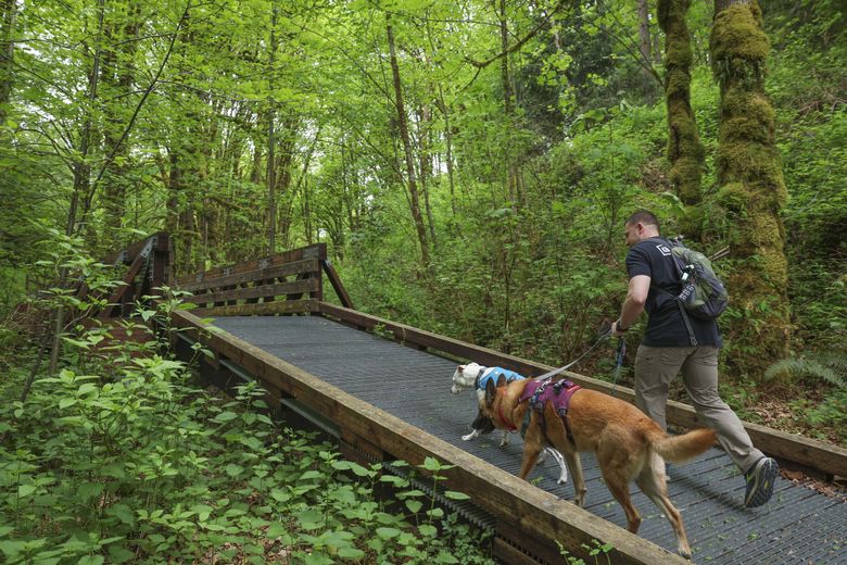 Coal Creek Trail reveals hidden history of Eastside's mining towns