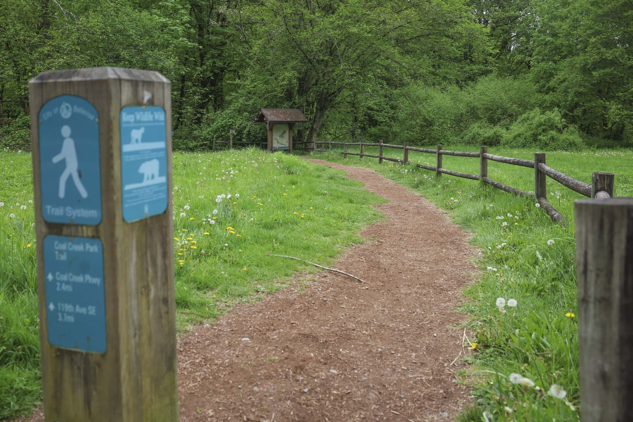Hikers will find the moderately challenging trail surfaced with wood chips and packed dirt, with interpretive signs. (Ivy Seballo / The Seattle Times)