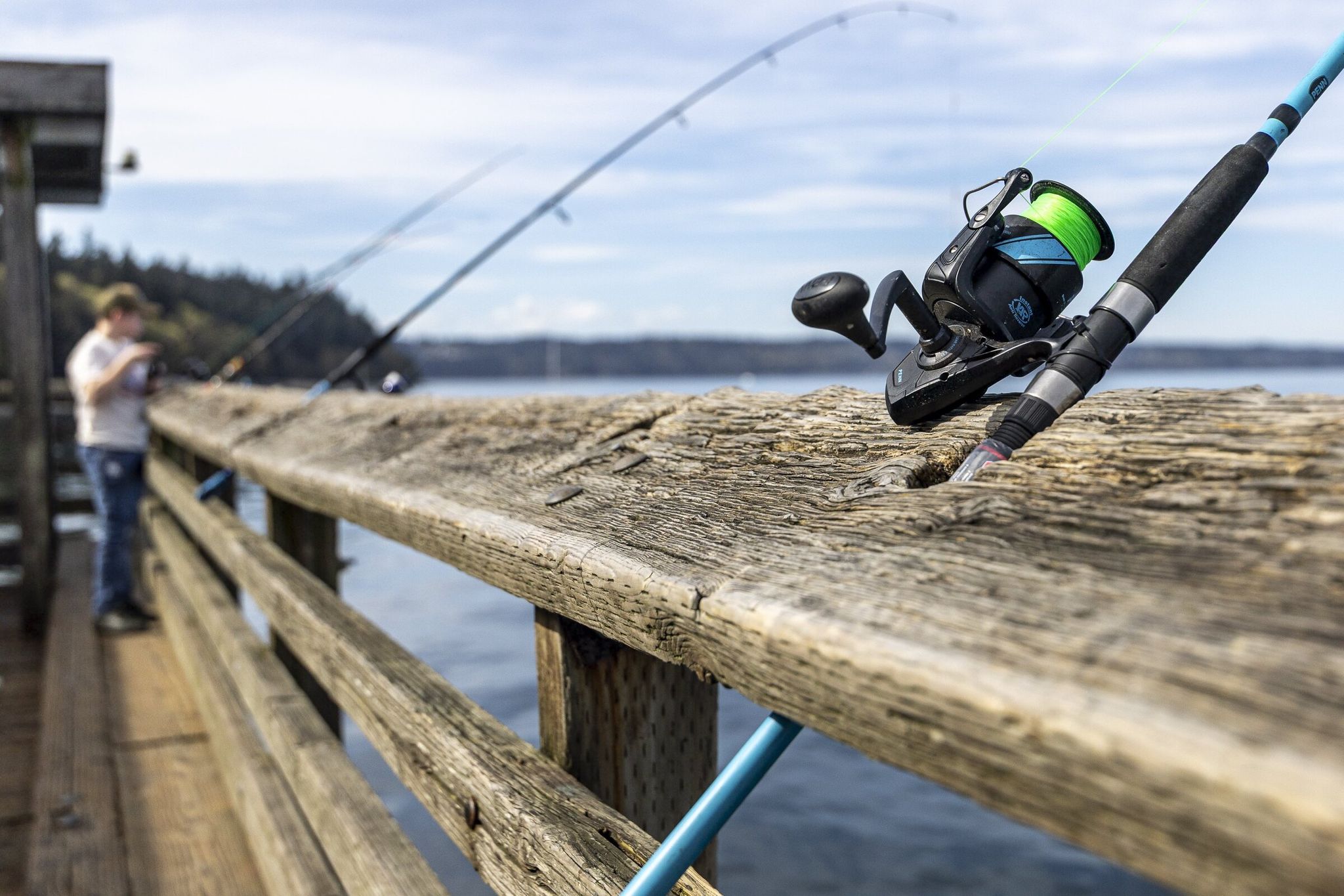 Fishing poles line Point Defiance Marina Monday afternoon in Tacoma, Washington on April 6, 2026. (Kevin Clark / The Seattle Times)