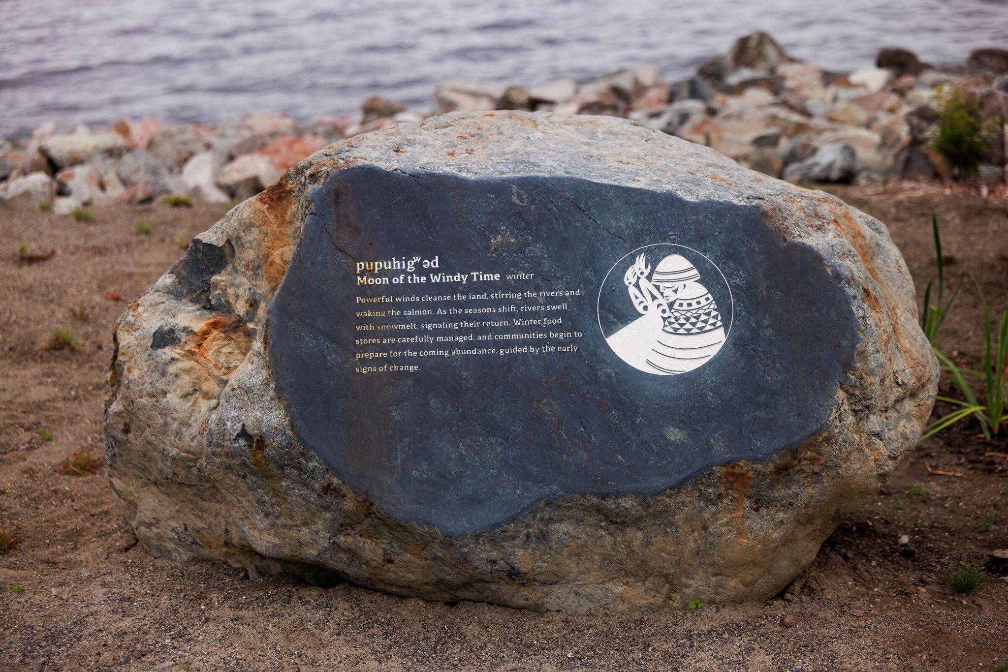 The story of “13 Moons” will be showcased in the redesigned Myrtle Edwards and Centennial parks on Elliott Bay. Valarie Segrest, of the Muckleshoot Tribe, and the Muckleshoot Language Committee jointly researched the names and text for the “13 Moons” story. Annabel Baker, Samish, created a work in the Central Coast Salish style.

(Erika Schultz / The Seattle Times)