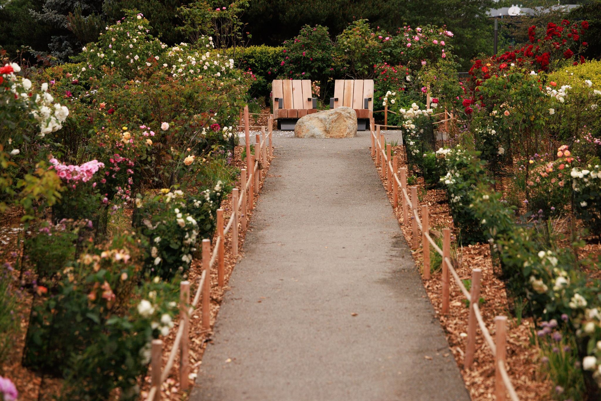 New benches, shown Wednesday, were installed in the rose garden at Centennial Park on Elliott Bay in Seattle. (Erika Schultz / The Seattle Times)