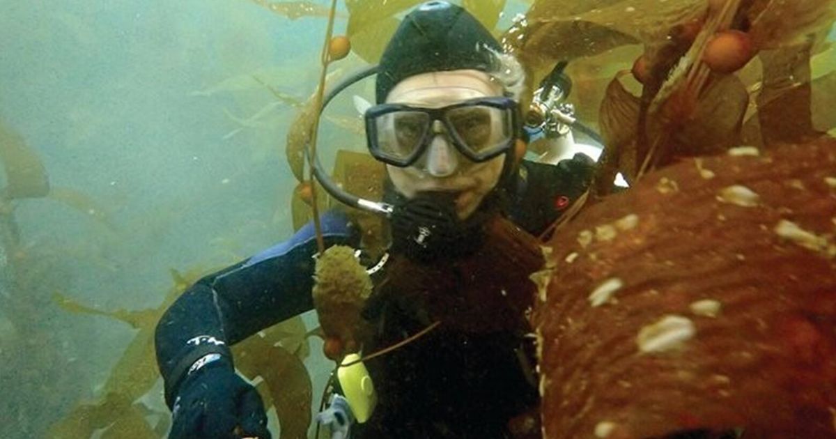 This vital part of the sea is in deep trouble. We must save what's left