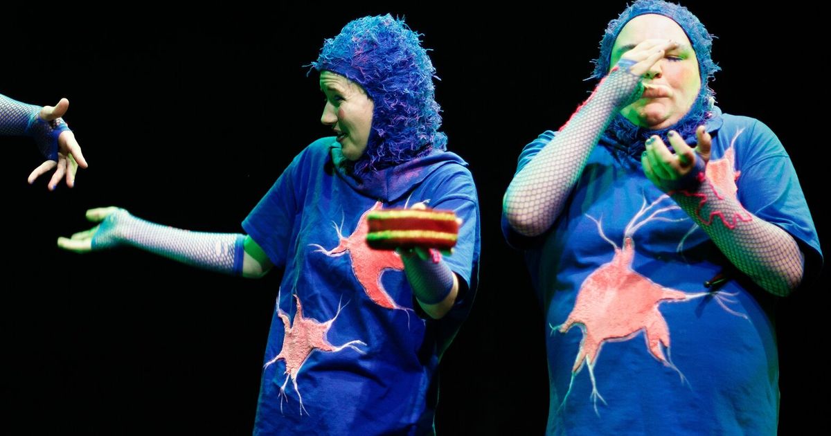 12 things to do around the Seattle area this weekend