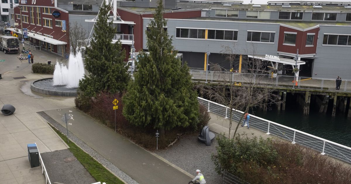 The businesses that are doubling down on Seattle