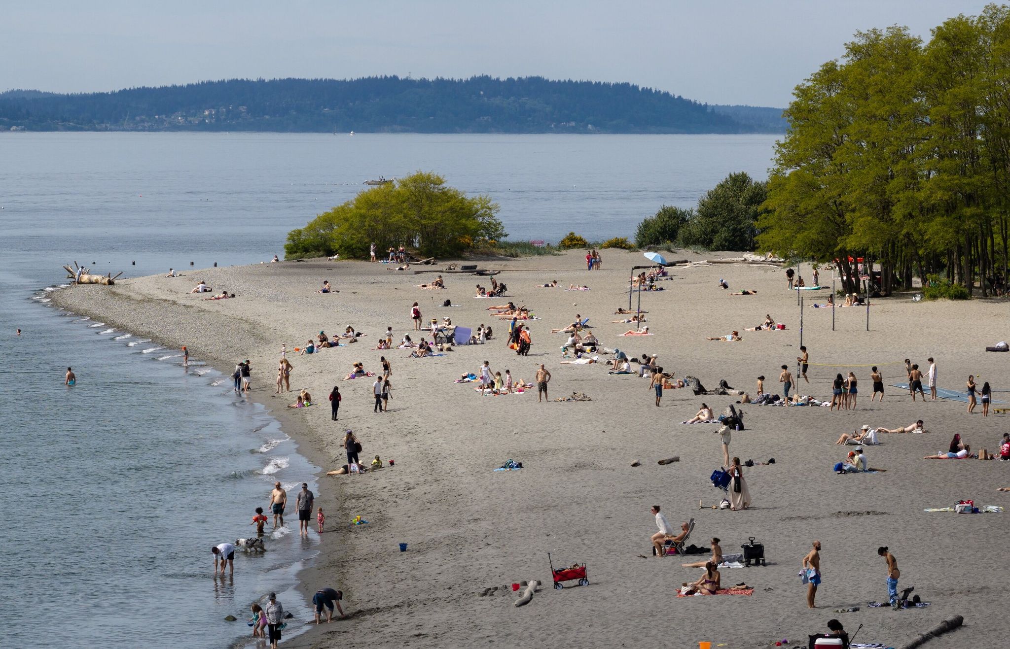 People soak up the sun at Golden Gardens Park in May in Seattle. (Nick Wagner / The Seattle Times)