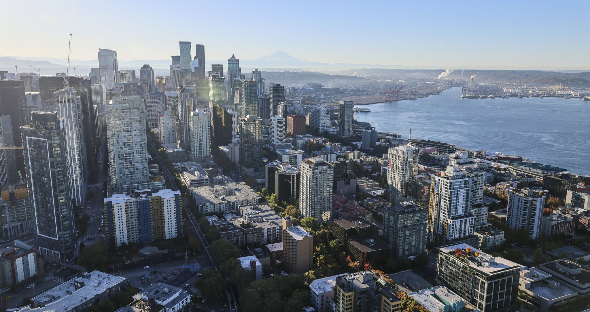 Downtown Seattle seen from the Space Needle. The Pacific Northwest’s largest city was around 59% non-Hispanic white in the most recent census data. (Kevin Clark / The Seattle Times, 2025)
