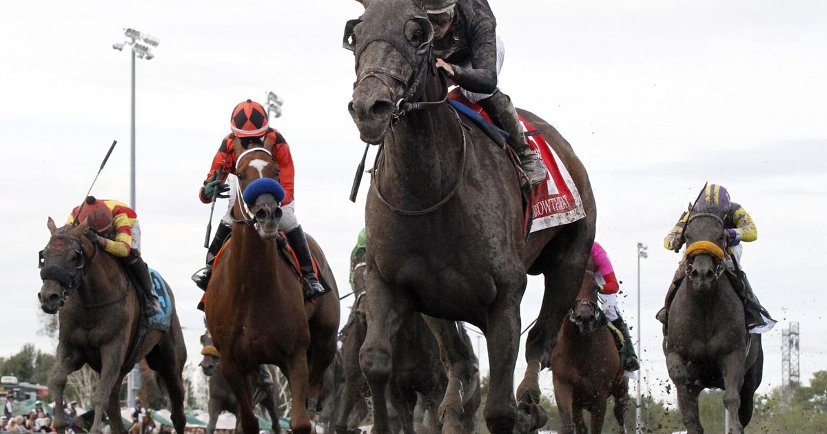 Why Emerald Downs is struggling to get horses to fill out racecards
