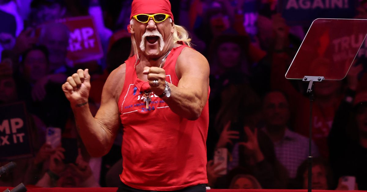 Hulk Hogan death investigation concludes with release of files