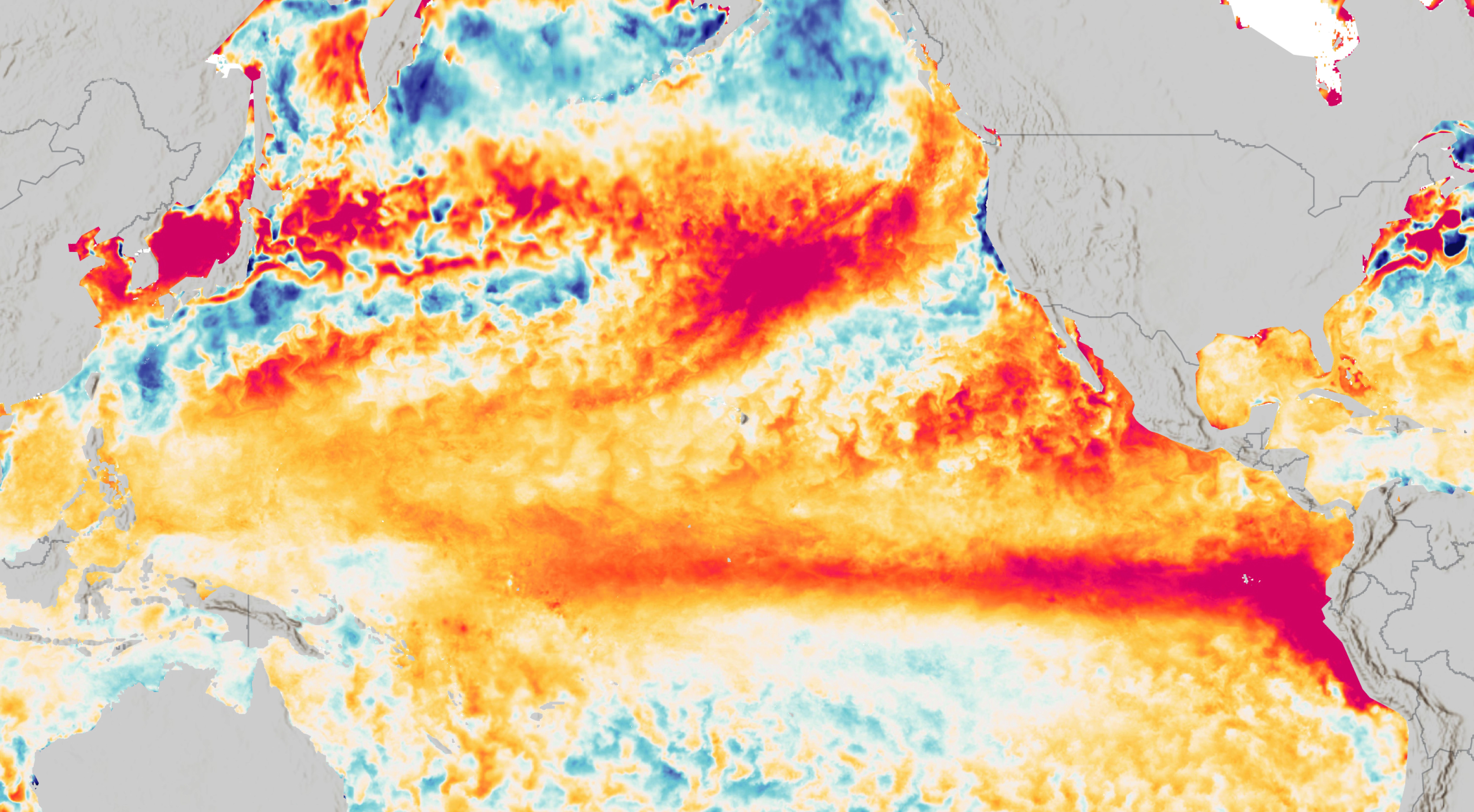 What a 'very strong' El Niño could mean for WA | The Seattle Times