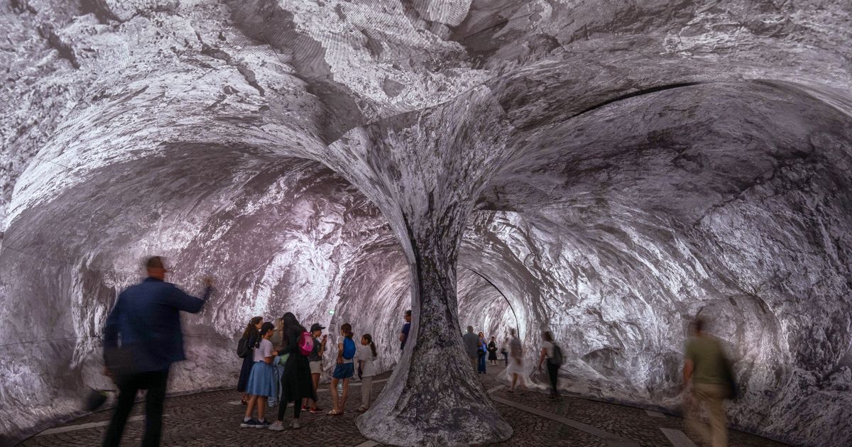 Monumental cave art on Paris’ oldest bridge finally opens, as the public steps and sniffs inside