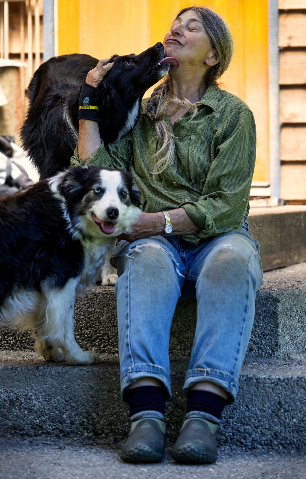 Anne Schwartz, at her home, gets a kiss from Skye, while her other dog, Pip, stands by. (Ken Lambert / The Seattle Times)