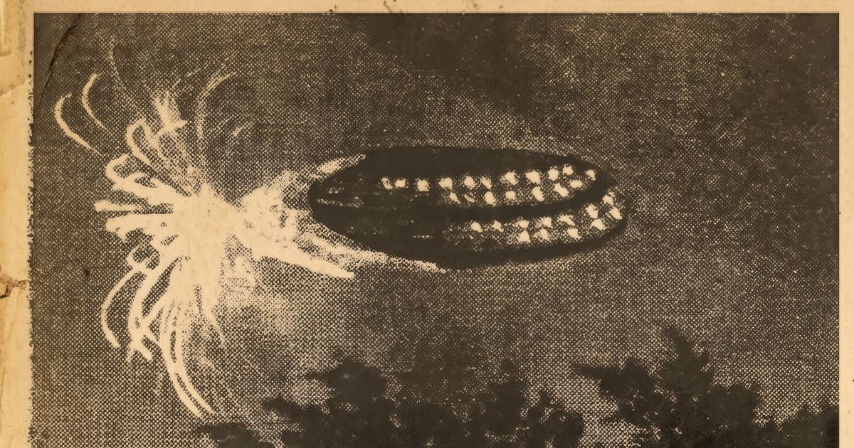 Seattle family witnesses — and believes — a hoax encounter of the 1948 kind