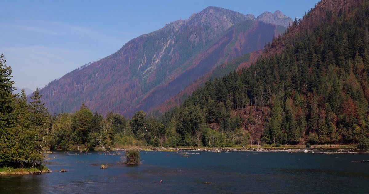Olympic National Park sites reopen after Bear Gulch fire