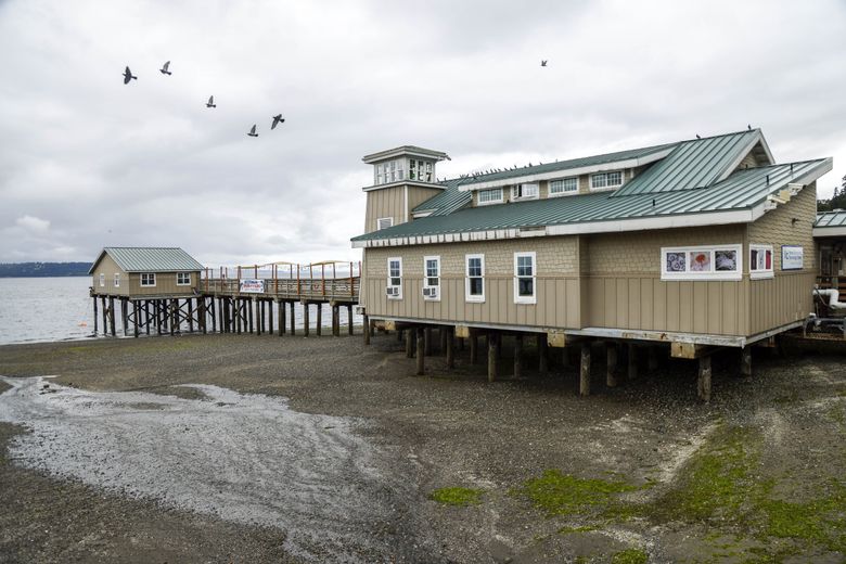 On a pier extending over Poverty Bay, the MaST Center Aquarium houses a classroom, laboratories, offices and an aquarium with 250 species and touch pools. (Andrew Burke-Stevenson / The Seattle Times)