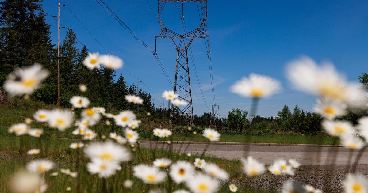 WA’s clean energy transition will fail without giant batteries