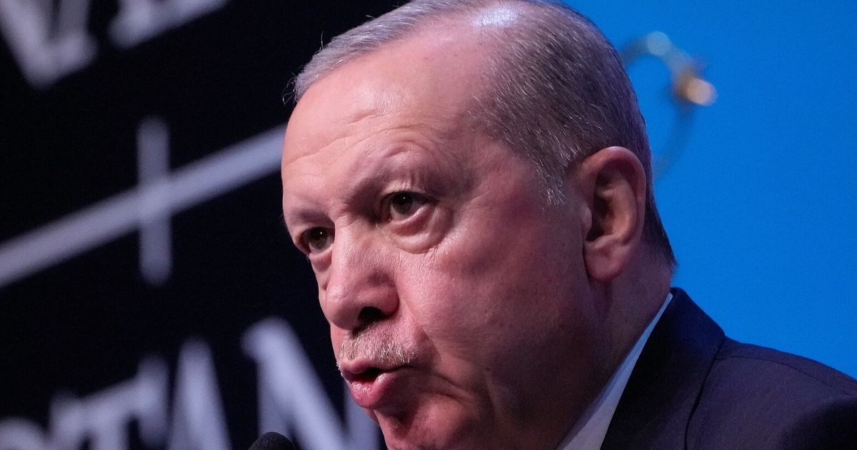 NATO leaders came to Turkey to discuss security. Erdogan gave them each an engraved revolver