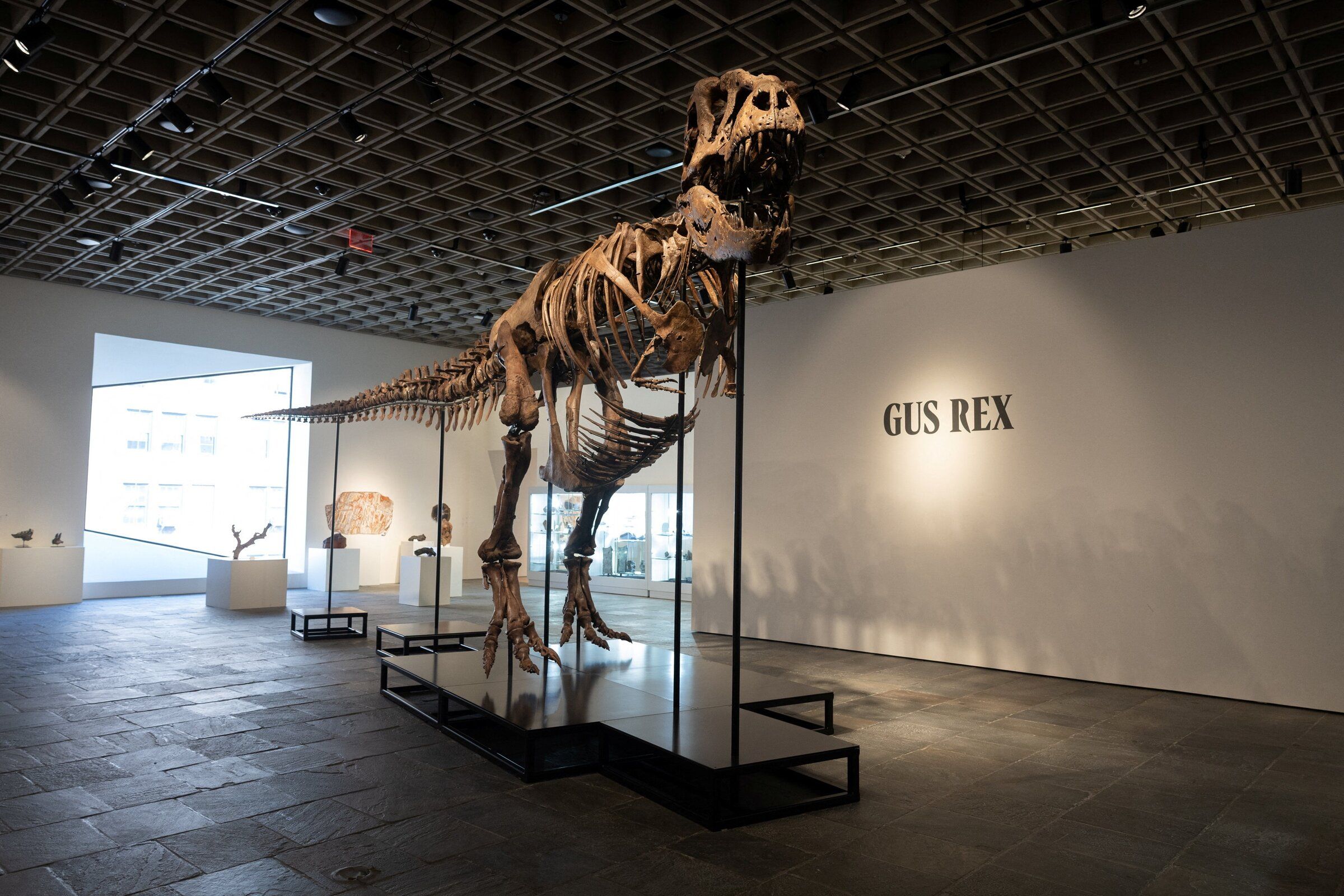 T. Rex Fossil Sells for $50.1 Million, Putting the King Back on