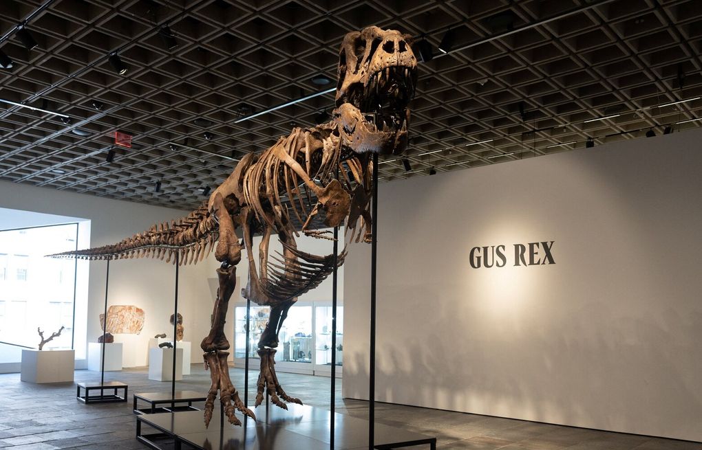 T. rex fossil sells for $50.1 million, putting the king back on top