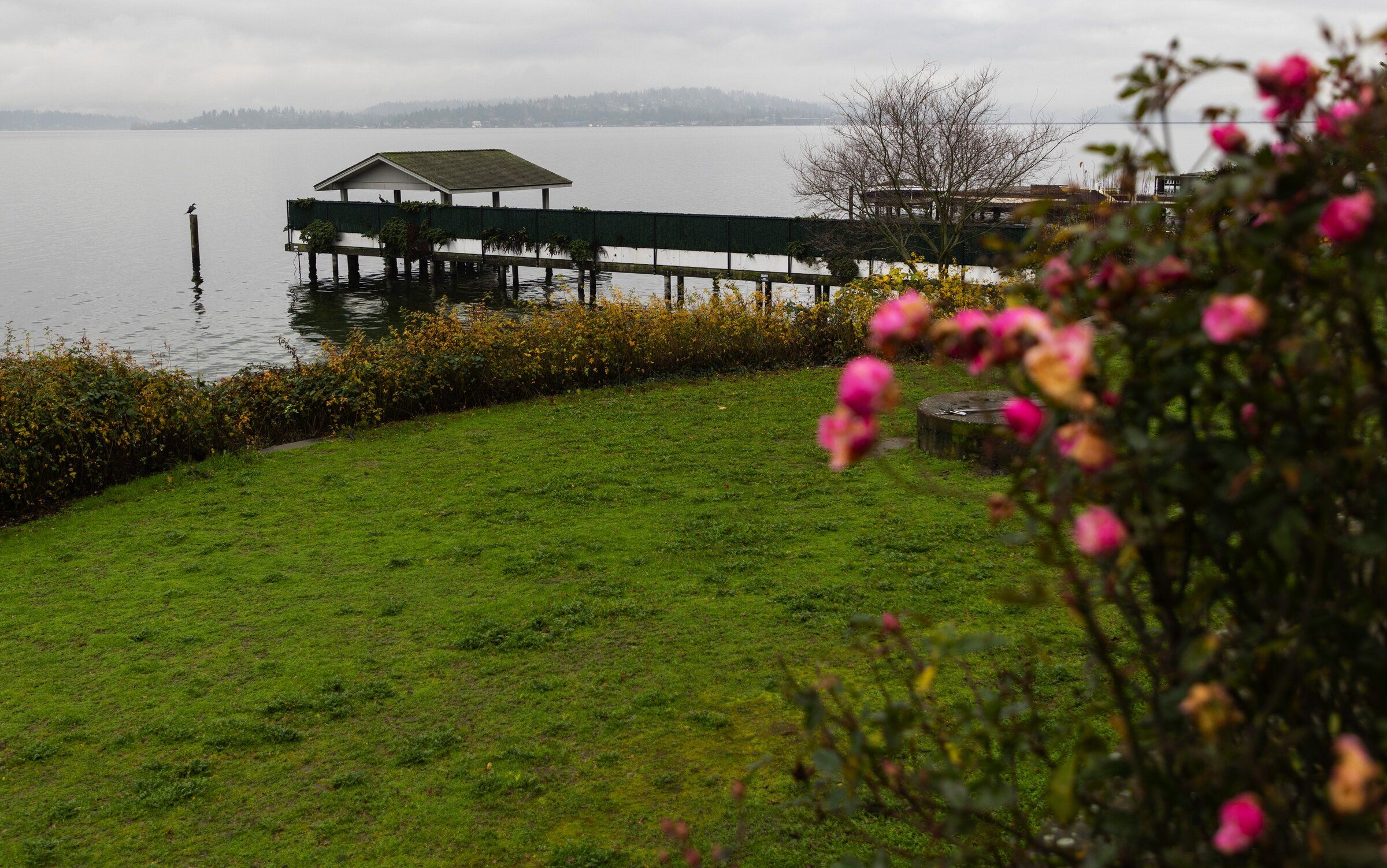 Denny Blaine Park has been a safe haven for the LGBTQ+ community since the 1980s. (Luke Johnson / The Seattle Times, 2023)