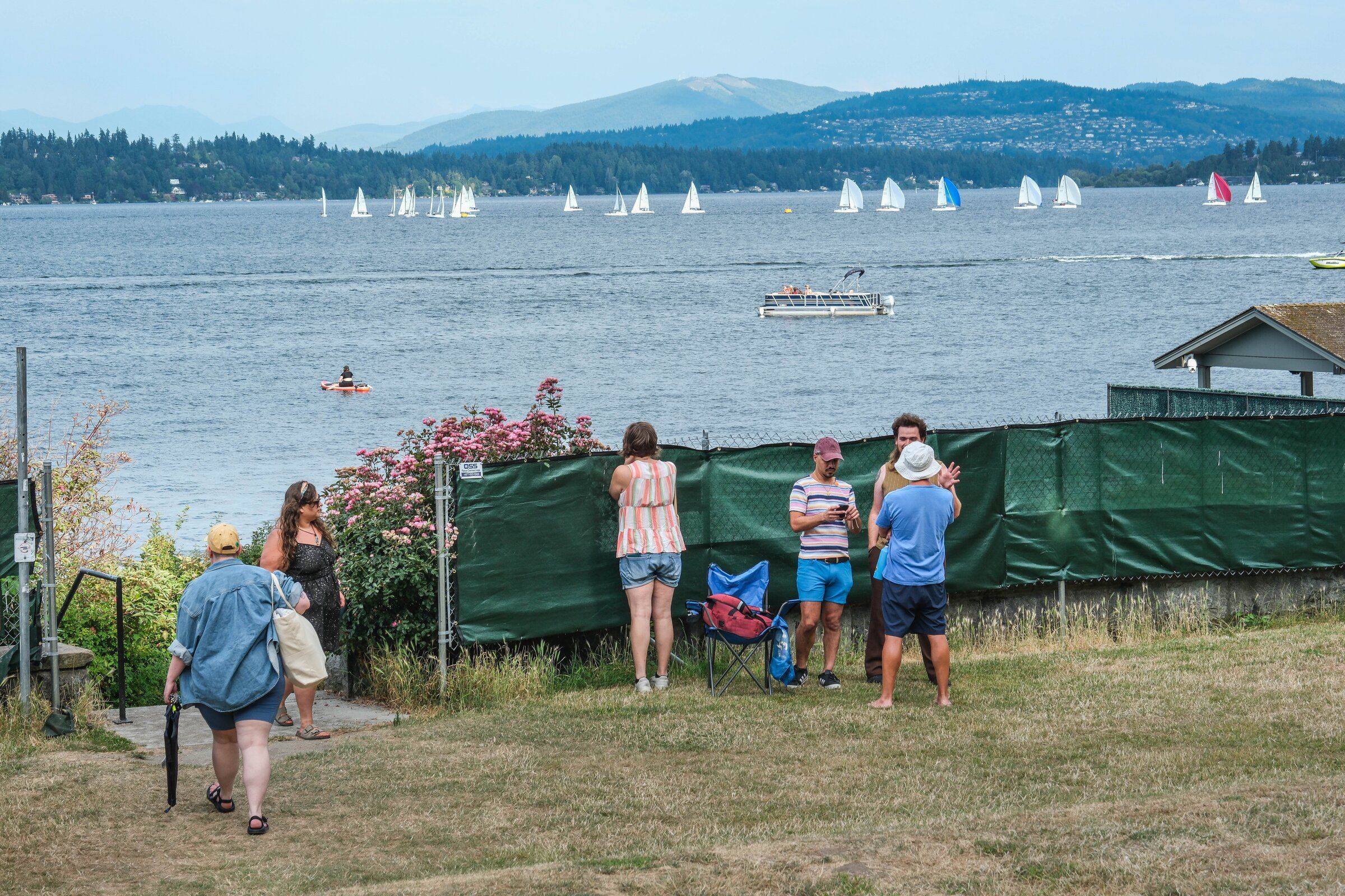 A privacy screen—one of the risk-reduction measures taken to bring Denny Blaine Park into line with the City of Seattle’s efforts to curb “lewd” behavior. (Dean Rutz / The Seattle Times)