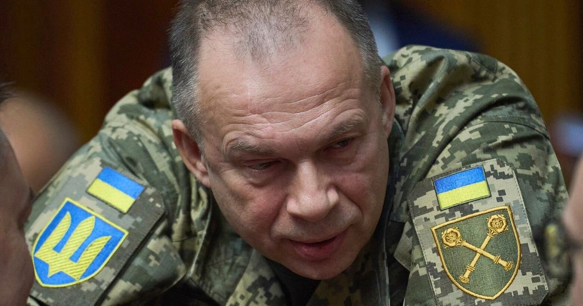 Ukraine's Zelenskyy fires his military chief after protests and names a new one - image 4