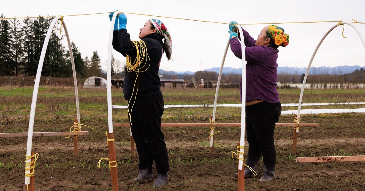 WA’s Hmong farmers face floods at generational crossroads