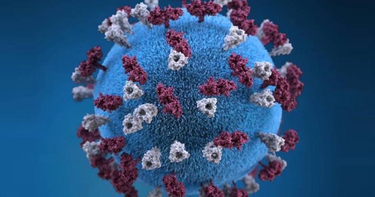 Measles Cases Hit New Record in U.S., as Vaccination Rates Wane - image 1