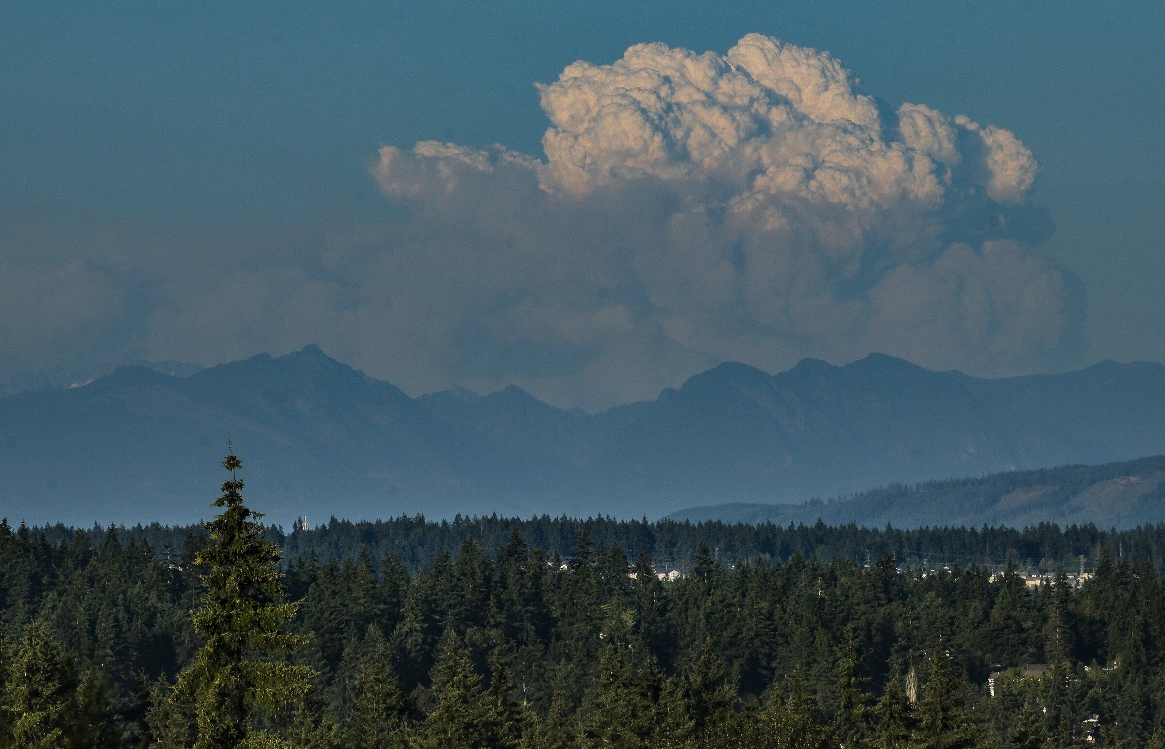 A plume from the Little Giant wildfire popped up in the Cascades Friday evening and was visible from throughout the Puget Sound area. This view is from Lake Forest Park. (Dean Rutz / The Seattle Times)