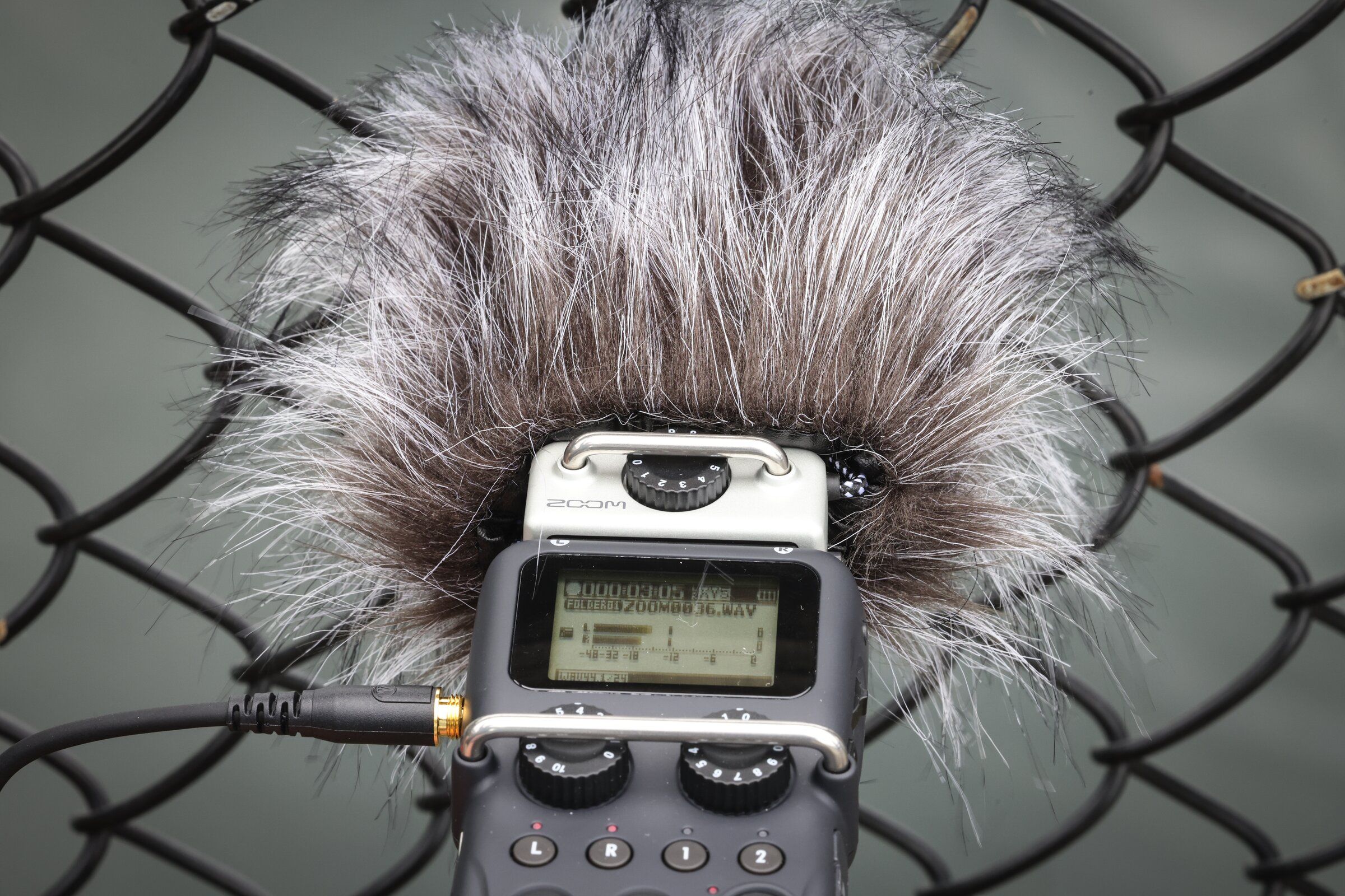 Chris Mills sits quietly with a recorder and microphone, hoping it will not be too windy and that there will be little outside noise so he can record the sea lions’ sounds. (Ken Lambert / The Seattle Times)