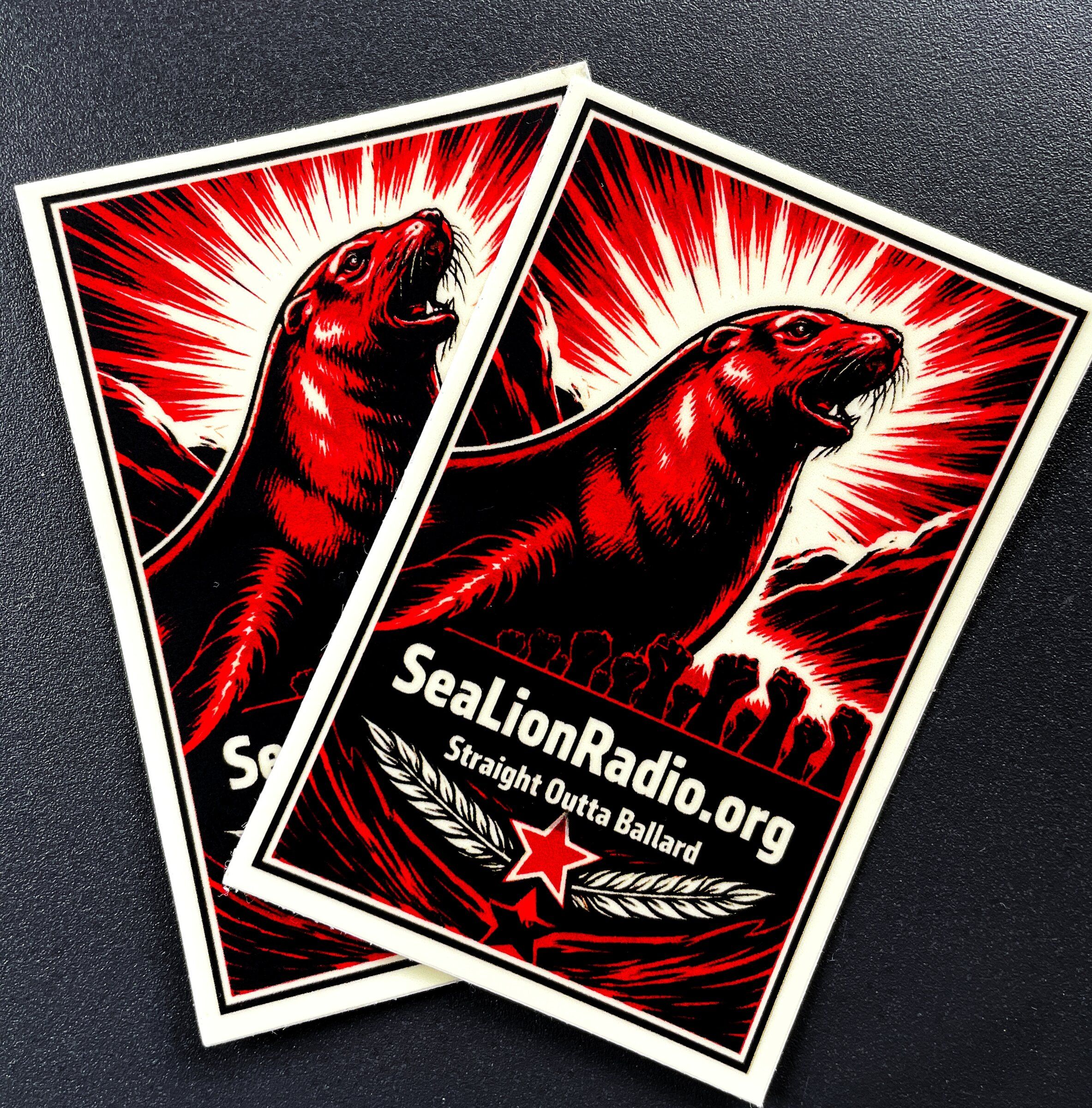 Promoting Sea Lion Radio is just “word of mouth and stickers,” says Chris Mills. (Ken Lambert / The Seattle Times)