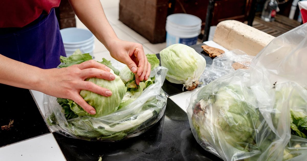 Can you eat lettuce safely during the cyclospora outbreak? Advice from an infectious disease expert - image 2