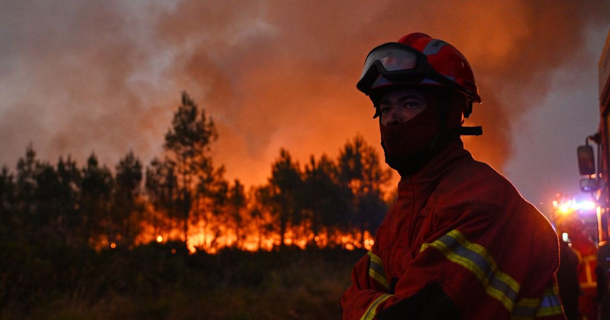 European Wildfires Amplified by Emptying Countryside and Fewer Farms - image 5