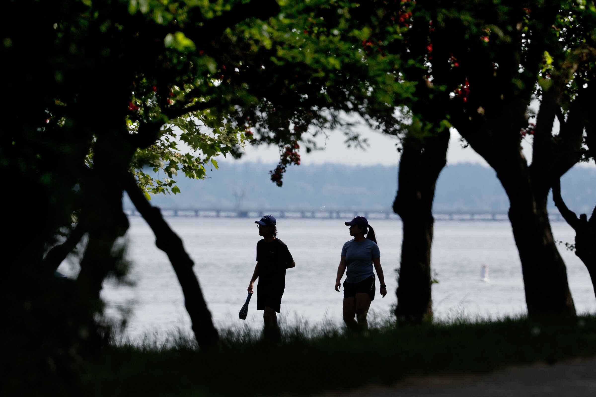 As cars travel across the 520 highway bridge in the background, two people walk in the shade of trees along the shore of Lake Washington at Magnuson Park. (Jennifer Buchanan / The Seattle Times)