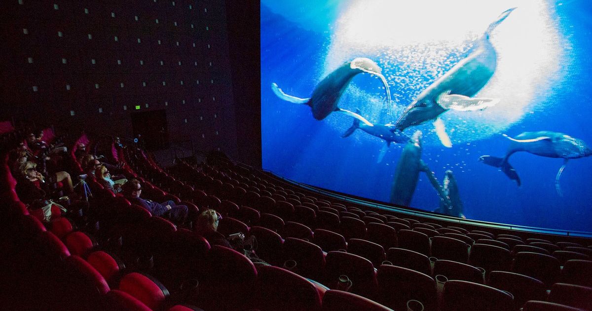 Space Needle urged to show feature films on WA’s biggest IMAX screen