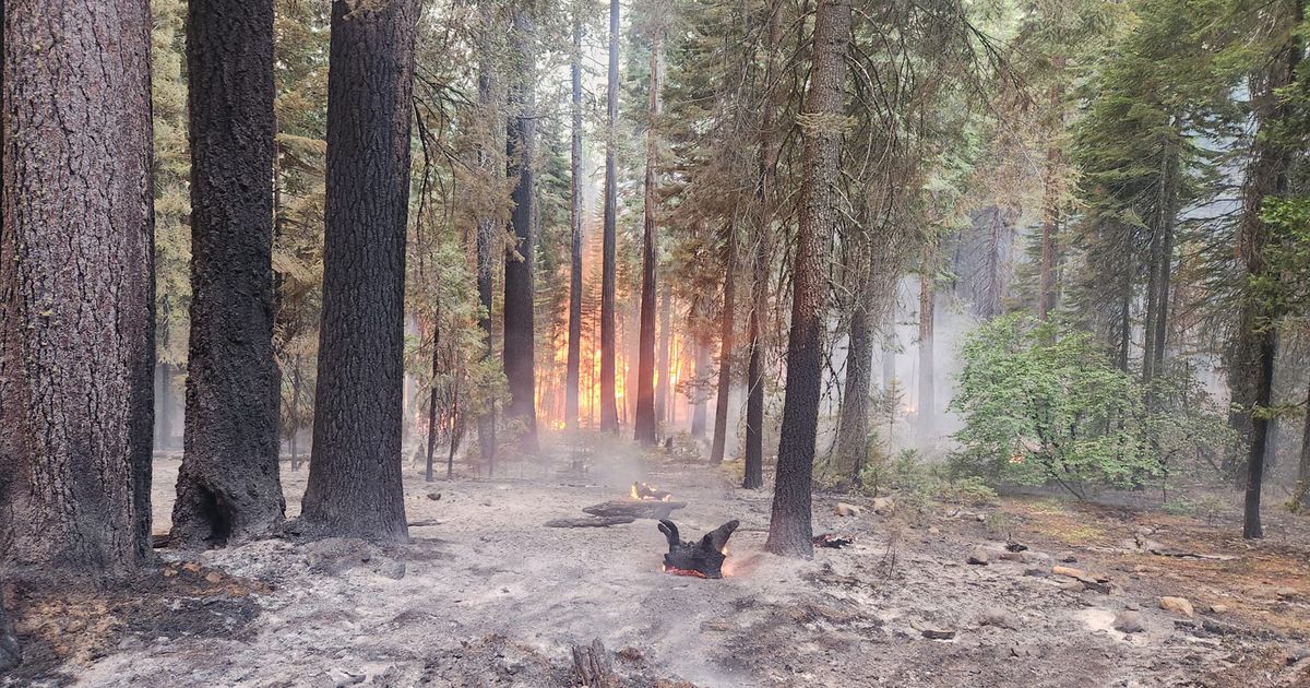 Man who caused one of largest fires in California history is convicted of arson