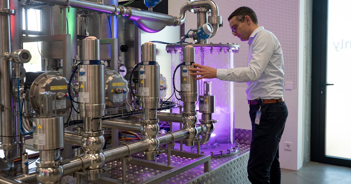 Can You Embrace AI Without Layoffs? This Company Says It’s Trying.