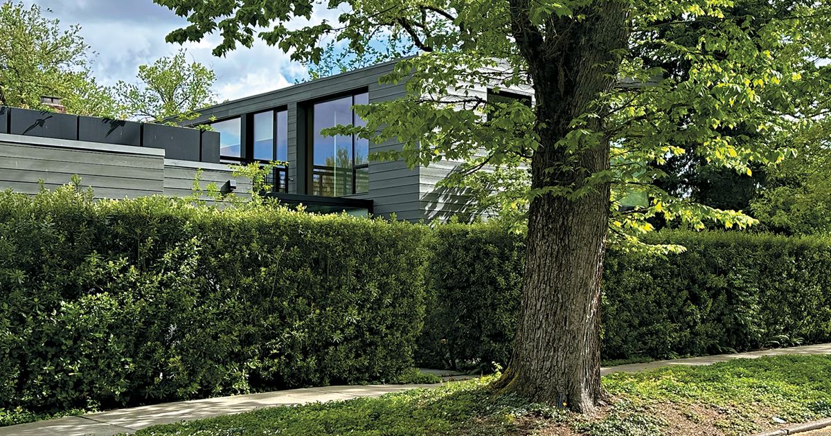 Gain a height advantage by planting a hedge