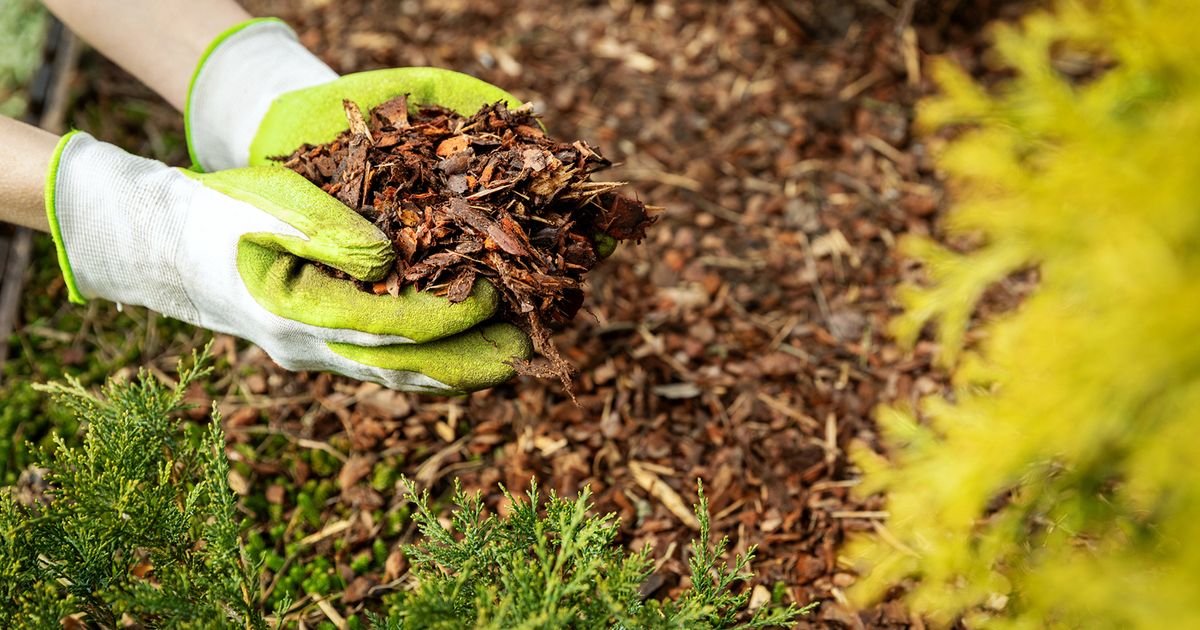 Ask Angi: How can I upgrade my outdoor space on a budget?