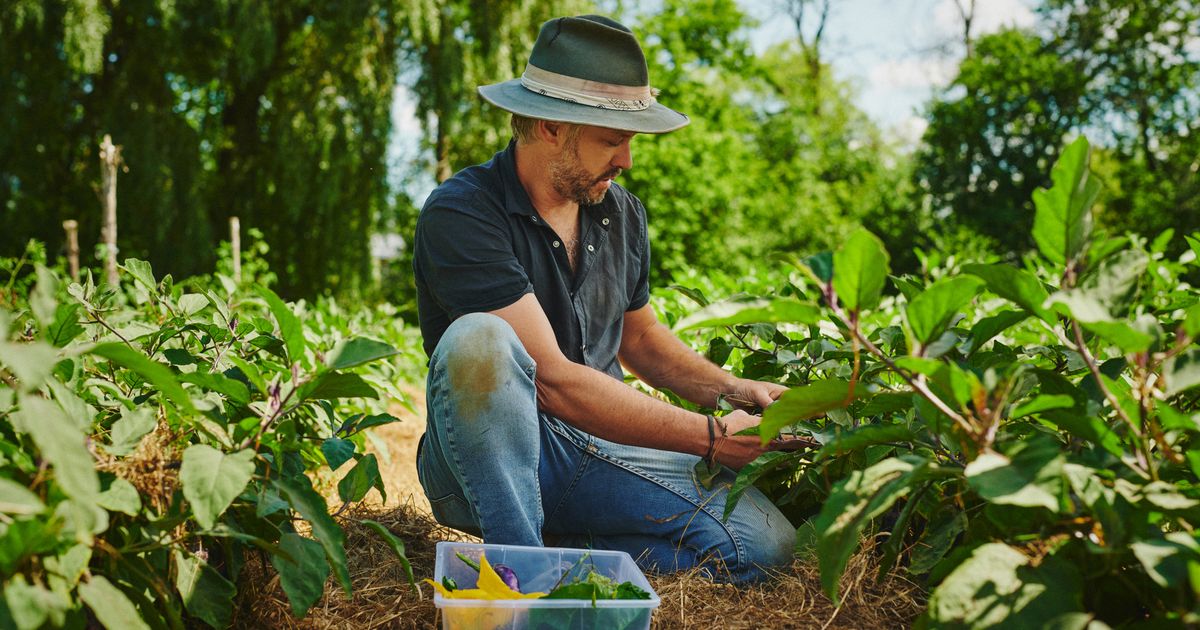 Rethinking the vegetable garden
