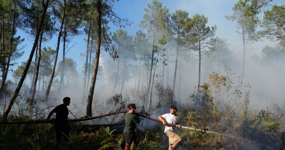 France and Spain wildfire witnesses describe 'wall of flames', fear and stress - image 5