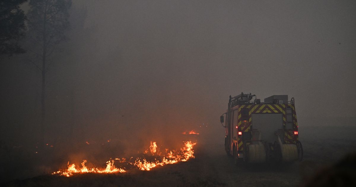 Macron calls crisis meeting as wildfires threaten Bordeaux and heatwave looms - image 5