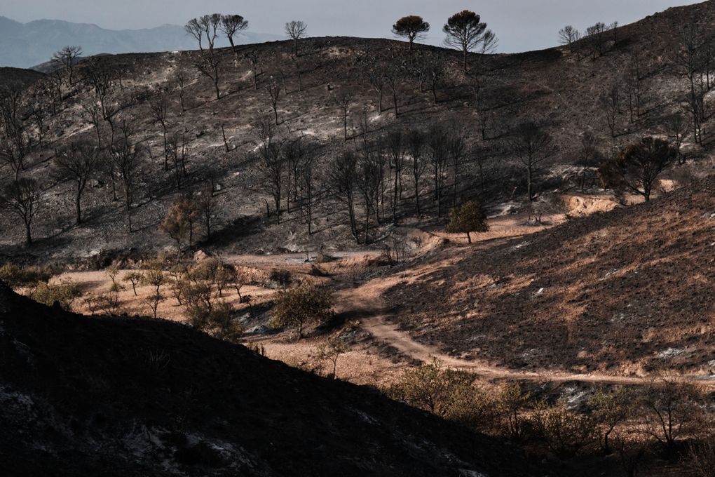 Residents of Spanish towns caught in fierce blazes recount harrowing escapes