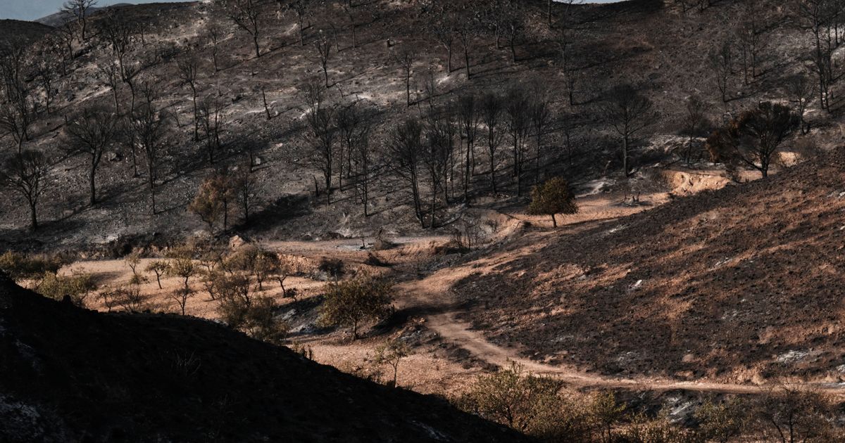 Residents of Spanish towns caught in fierce blazes recount harrowing escapes