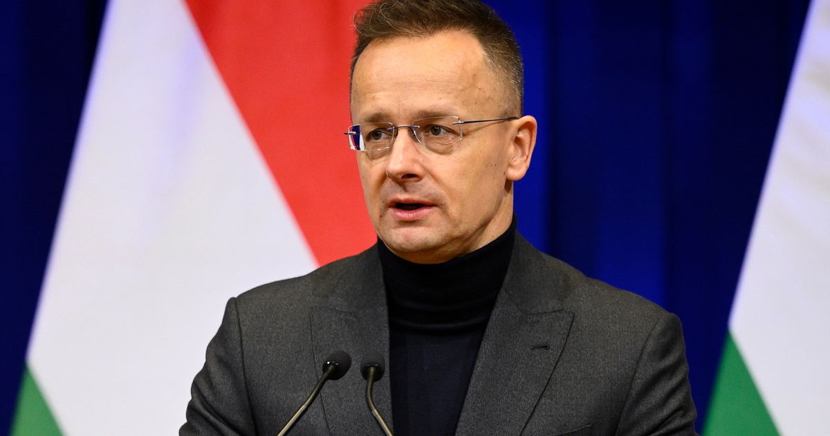 Former Hungarian foreign minister resigns from parliament for job with Chinese automaker