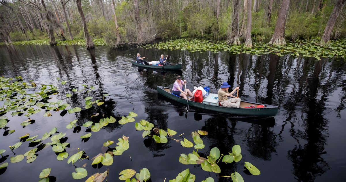 Georgia’s Okefenokee Swamp among new additions to join UNESCO’s World Heritage List