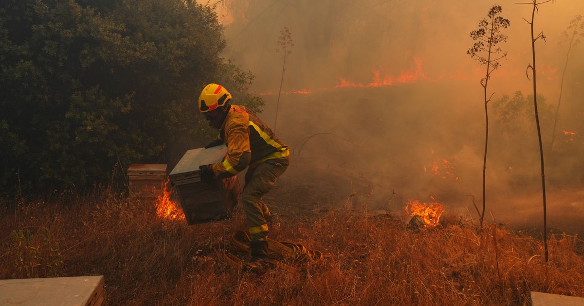 UN, scientists warn that strong El Nino will add fuel to ‘a planet already on fire’